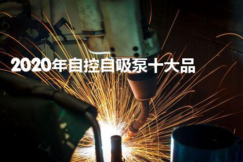 2020年自控自吸泵十大品牌排行榜