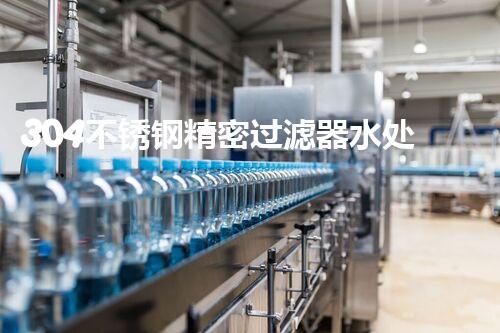 304不锈钢精密过滤器水处理过滤设备