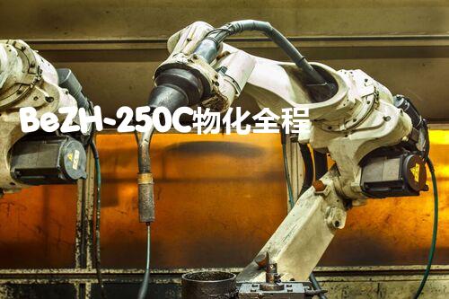 BeZH-250C物化全程综合水处理器