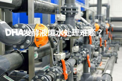 DHA发酵液废水处理难题？探索高效低耗绿色新路径！