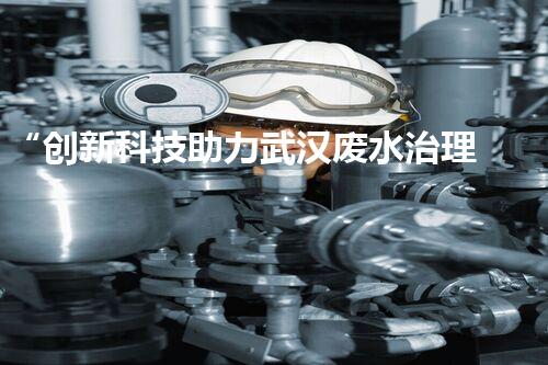 “创新科技助力武汉废水治理方案设计：从源头到终端全方位应对水质挑战”