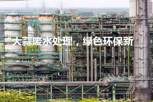 “大蒜废水处理，绿色环保新篇章”