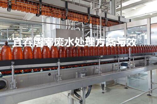 “宜春屠宰废水处理方案与效果分析”