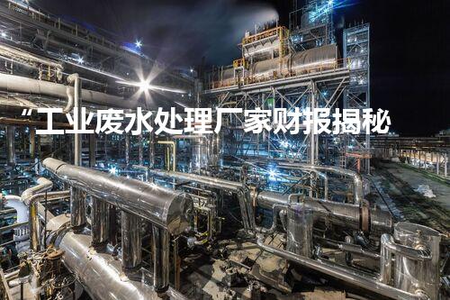 “工业废水处理厂家财报揭秘：环保产业增长趋势”