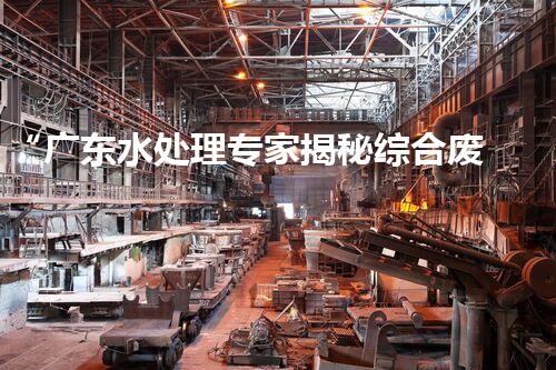“广东水处理专家揭秘综合废水处理方案”