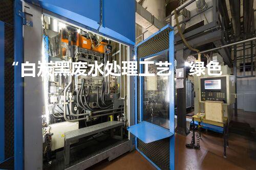 “白炭黑废水处理工艺，绿色环保新篇章”