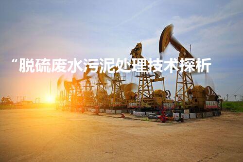 “脱硫废水污泥处理技术探析”