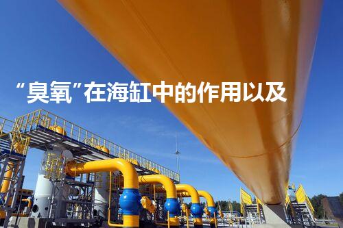 “臭氧”在海缸中的作用以及使用注意事项!
