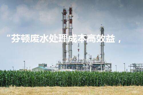 “芬顿废水处理成本高效益，环保投资新选择”