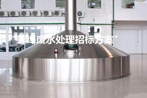 “蚌埠废水处理招标方案”