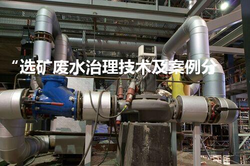 “选矿废水治理技术及案例分享”