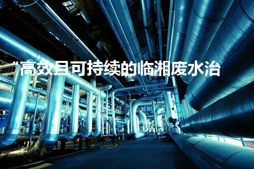 “高效且可持续的临湘废水治理方案”