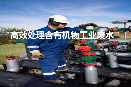 “高效处理含有机物工业废水的方法及应用”