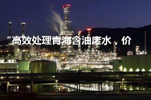 “高效处理青海含油废水，价格实惠！”