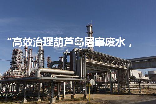 “高效治理葫芦岛屠宰废水，净化环境保护生态”