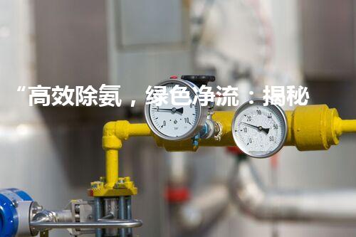 “高效除氨，绿色净流：揭秘氨氮废水处理新篇章”