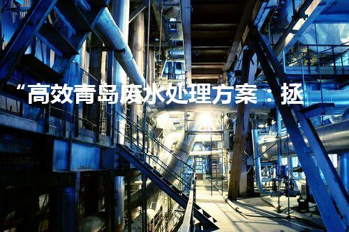 “高效青岛废水处理方案：拯救海洋生态”