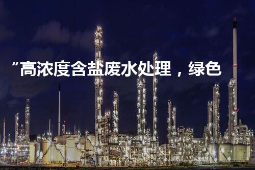 “高浓度含盐废水处理，绿色创新引领环保新篇章”