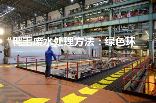 “鸭毛废水处理方法：绿色环保的新选择”