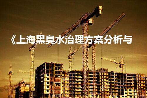 《上海黑臭水治理方案分析与实践》
