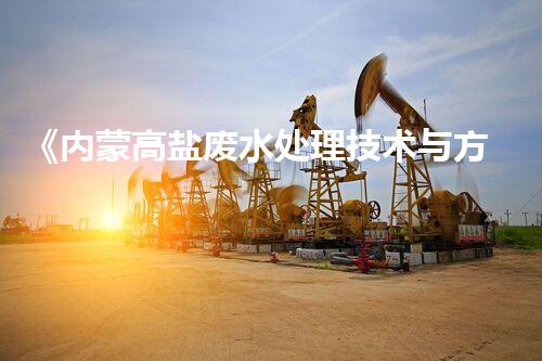 《内蒙高盐废水处理技术与方案研究》