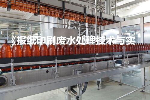 《报纸印刷废水处理技术与实践》