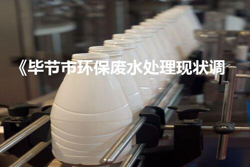 《毕节市环保废水处理现状调查报告》