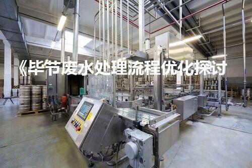 《毕节废水处理流程优化探讨》
