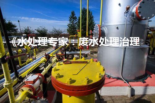 《水处理专家：废水处理治理中心的构建与优化实践》