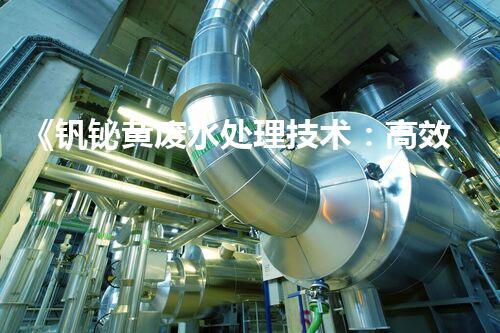 《钒铋黄废水处理技术：高效清除重金属污染》