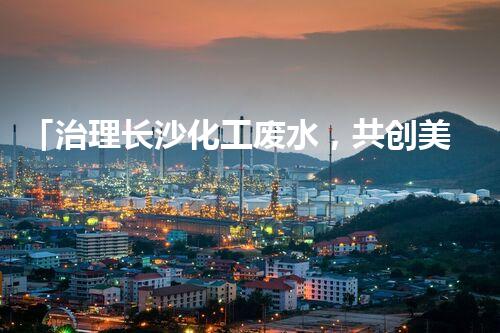 「治理长沙化工废水，共创美丽阳光城」