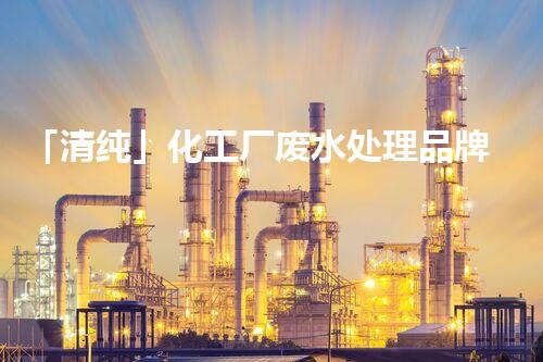 「清纯」化工厂废水处理品牌，实现废水「零排放」新疆标杆