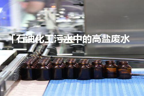 「石油化工污水中的高盐废水处理方案及难点」