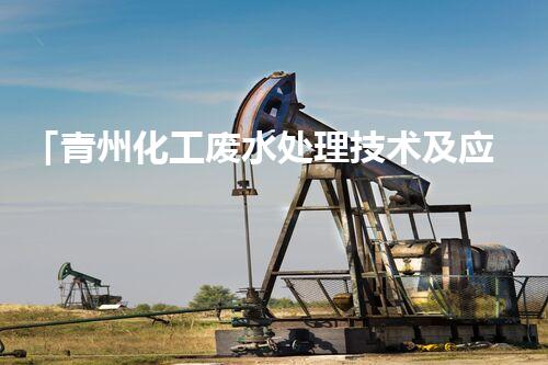 「青州化工废水处理技术及应用研究」
