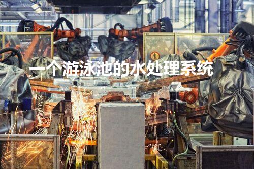 一个游泳池的水处理系统