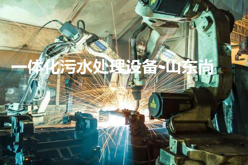 一体化污水处理设备-山东尚清环保科技有限公司