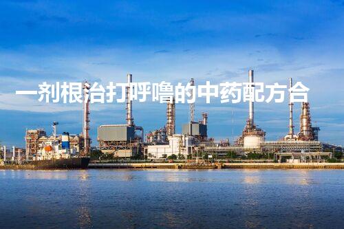 一剂根治打呼噜的中药配方合集