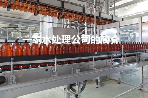 一家水处理公司的简介
