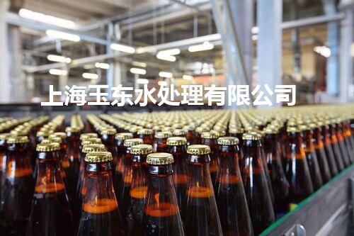 上海玉东水处理有限公司