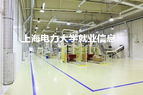 上海电力大学就业信息
