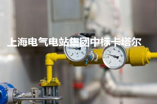 上海电气电站集团中标卡塔尔水处理项目