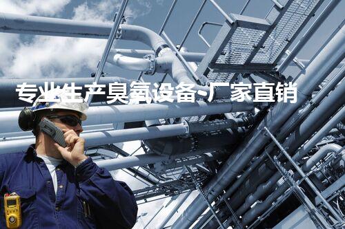 专业生产臭氧设备-厂家直销-价格优惠
