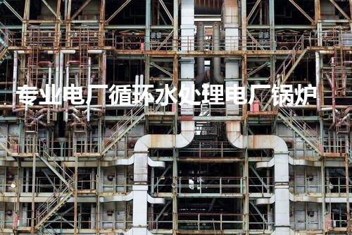 专业电厂循环水处理电厂锅炉循环水冷却循环水处理工艺