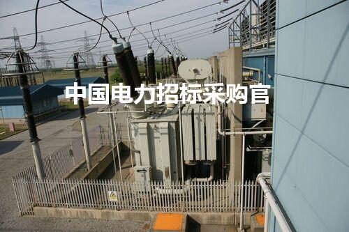 中国电力招标采购官
