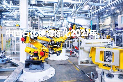 中国石化镇海炼化2021年度校园招聘