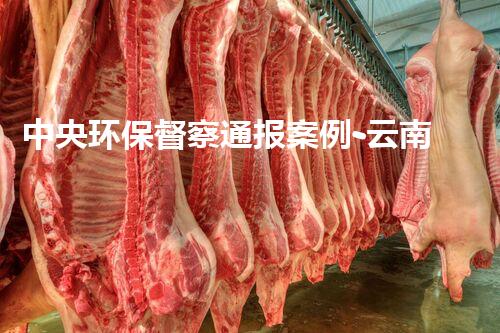 中央环保督察通报案例-云南景洪生活垃圾处理问题突出