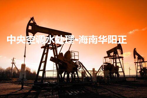中央空调水处理-海南华阳正博水处理有限公司