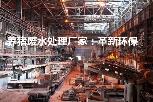 养猪废水处理厂家：革新环保技术，打造清洁生态！