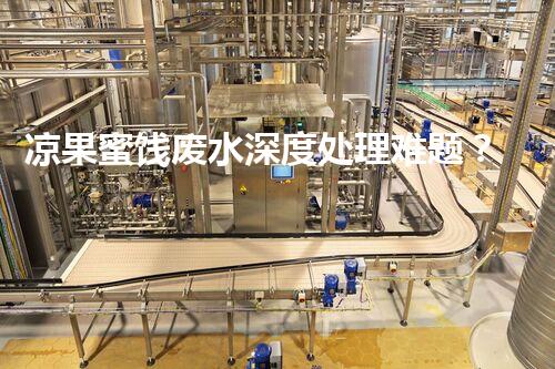 凉果蜜饯废水深度处理难题？探索高效低耗的绿色解决方案！