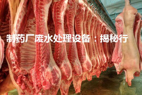 制药厂废水处理设备：揭秘行业顶尖技术的背后秘密？